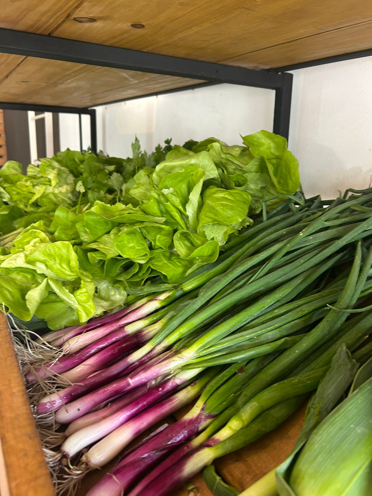 Verduras de hoja y cebollas de verdeo en la estantería del local